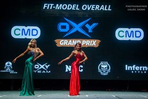 FIT-MODEL OVERALL